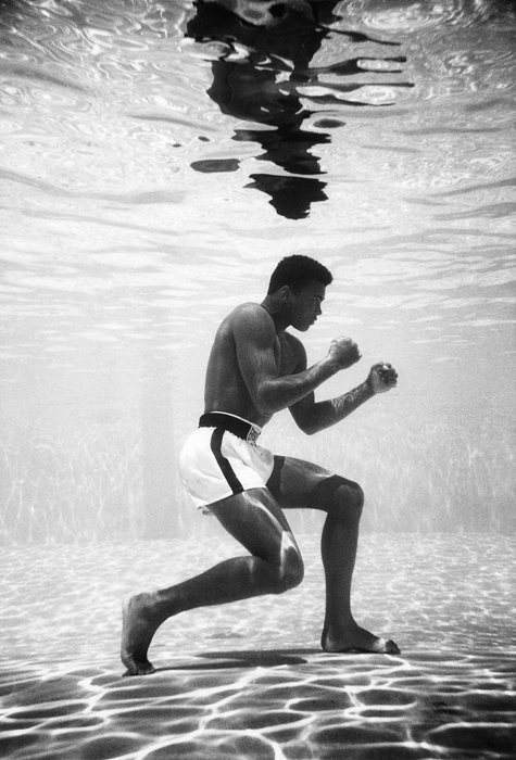ali13